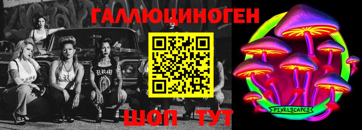 Псилоцибиновые грибы Psilocybe Уварово