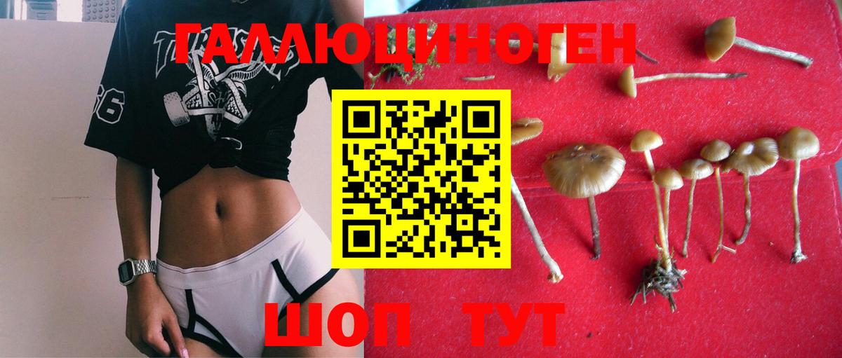 Уварово  Галлюциногенные грибы мухоморы  Вход с VPN 